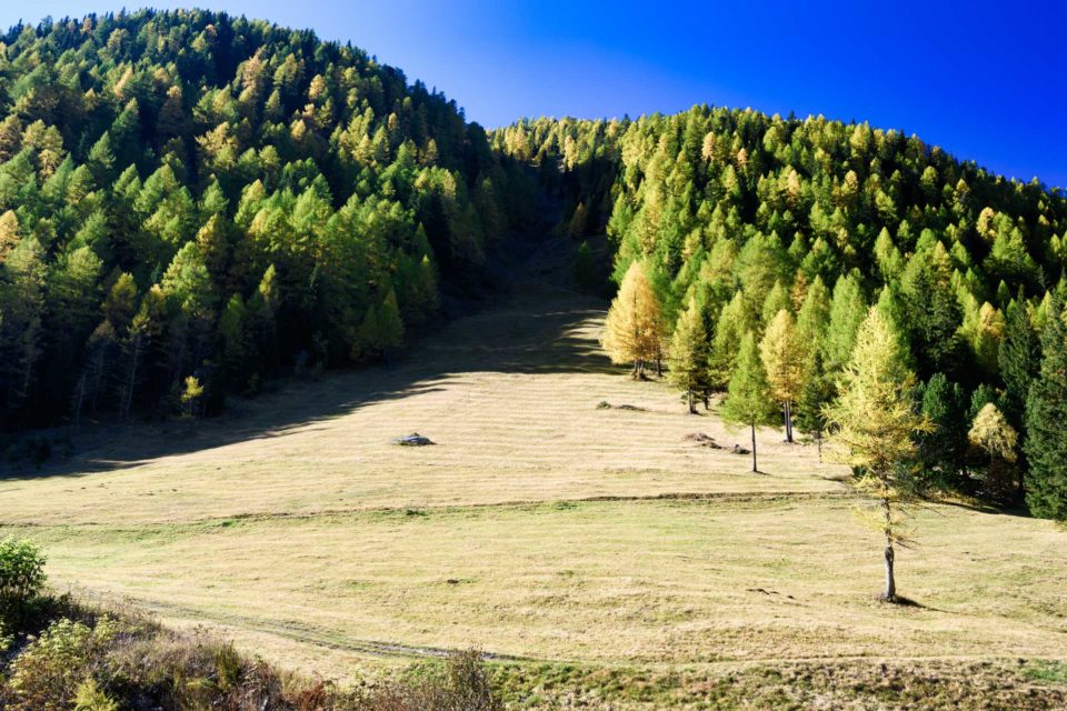 foto-paesaggio-montagna-erba-vegetazione-linee-pietro-cappelletti-fotografia